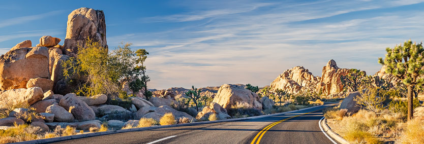 Road in California national park