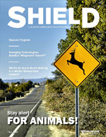 Summer-2018-Shield-small